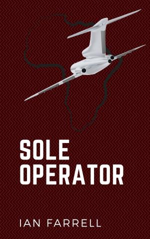 Cover of the book Sole Operator by William Hertling