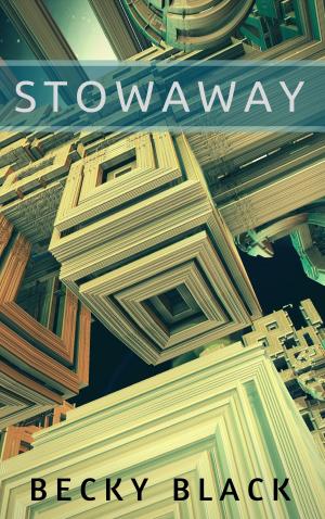 Cover of the book Stowaway by Rainer Imm