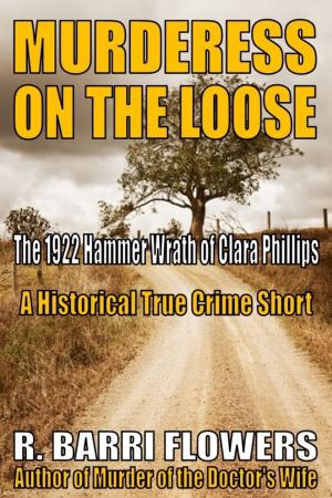 Book cover of Murderess on the Loose: The 1922 Hammer Wrath of Clara Phillips (A Historical True Crime Short)