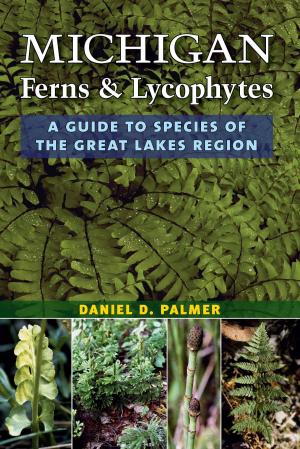 Book cover of Michigan Ferns and Lycophytes