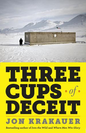 Cover of the book Three Cups of Deceit by Brian Catling
