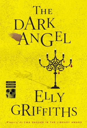 Cover of the book The Dark Angel by P. W. Singer, Emerson T. Brooking