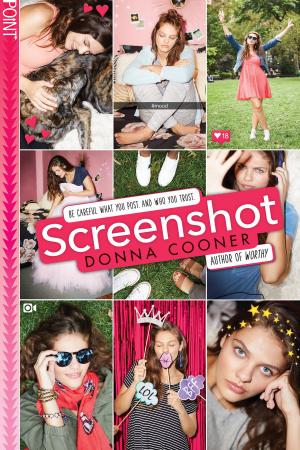Book cover of Screenshot (Point)