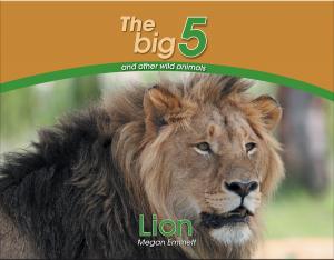 Cover of the book Lion by Loretta Kemsley