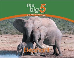 Cover of the book Elephant by Anna Skoyles