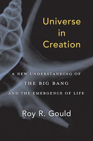 Book cover of Universe in Creation