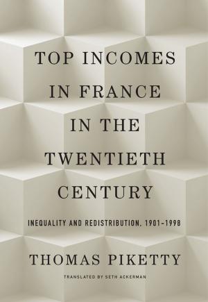 Book cover of Top Incomes in France in the Twentieth Century