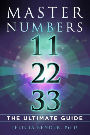 Book cover of Master Numbers 11, 22, 33