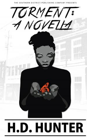 Cover of Torment: A Novella