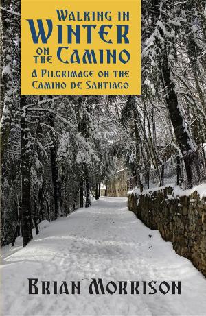 Cover of the book WALKING IN WINTER ON THE CAMINO by Cortney Cameron, Natalia Clarke