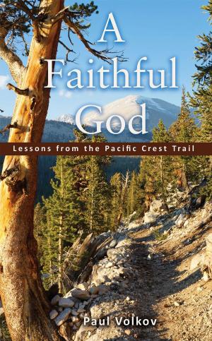 Cover of the book A Faithful God by Scott Berry