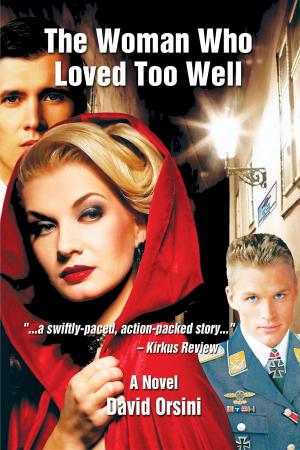Cover of The Woman Who Loved Too Well