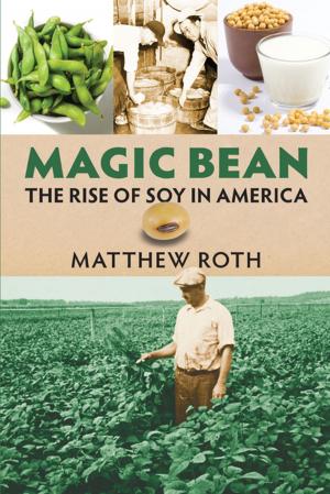 Cover of the book Magic Bean by J. P. Harris