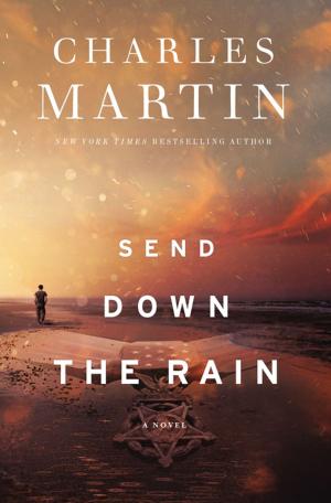 Cover of the book Send Down the Rain by David Liverett