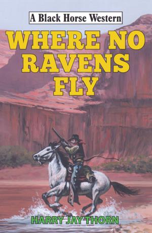 Cover of the book Where No Ravens Fly by Terrell L Bowers