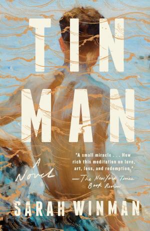 Cover of the book Tin Man by Stephen R. Donaldson