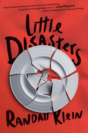 Cover of the book Little Disasters by John McMahon