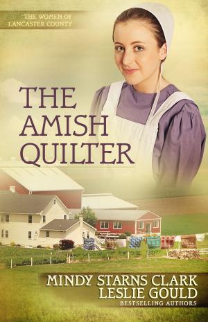 Cover of the book The Amish Quilter by 