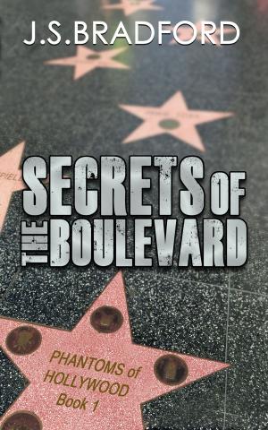 Cover of the book Secrets of the Boulevard by Dave Hinrichs