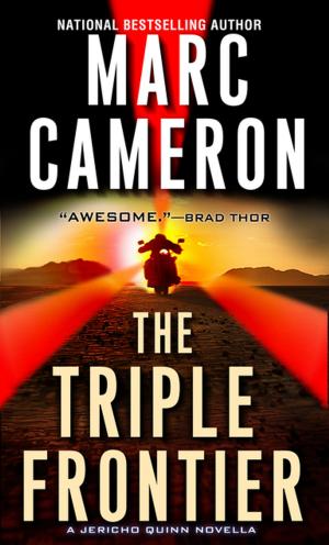 Cover of the book The Triple Frontier by James M. Thompson