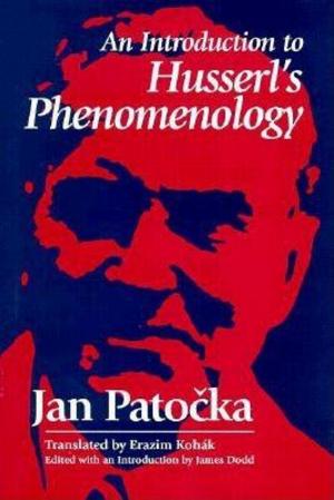 bigCover of the book An Introduction to Husserl's Phenomenology by 