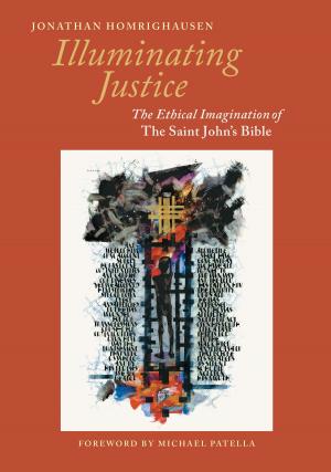 Cover of the book Illuminating Justice by Brendan Byrne SJ