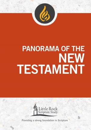 Cover of Panorama of the New Testament