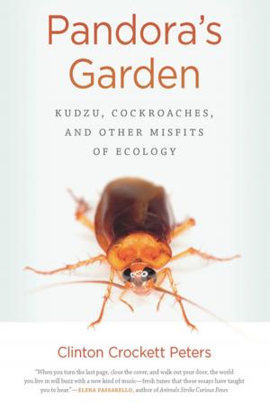 Cover of the book Pandora's Garden by Robert M. Howard, Arnold Fleischmann, Richard N. Engstrom