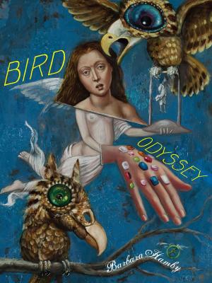 Cover of the book Bird Odyssey by Ali Igmen