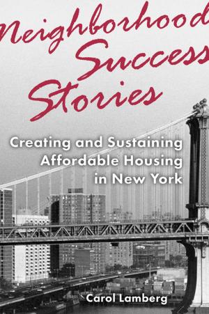 Cover of the book Neighborhood Success Stories by Christopher D. Denny, Mary Beth Fraser Connolly