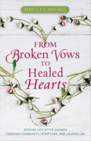 Cover of the book From Broken Vows to Healed Hearts by John W. Schmitt, J. Carl Laney