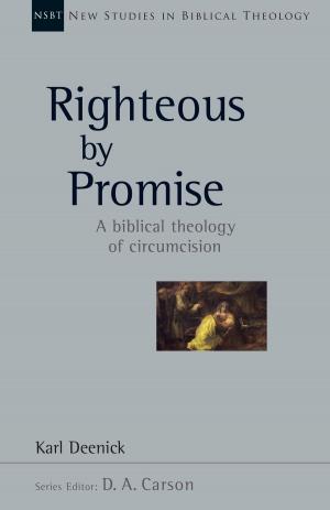 Cover of the book Righteous By Promise by Mark Oestreicher