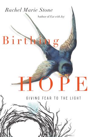 Cover of Birthing Hope