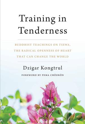 Cover of the book Training in Tenderness by Dzongsar Jamyang Khyentse