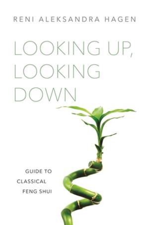 Cover of the book Looking Up, Looking Down by Joanna North