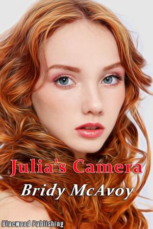 Cover of the book Julia's Camera by Paulette Rae