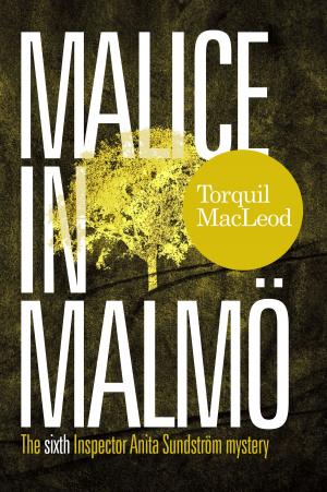 Cover of the book MALICE IN MALMÖ by Connie Trapp
