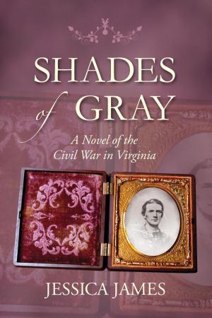 Cover of the book Shades of Gray by H.B. Bolton