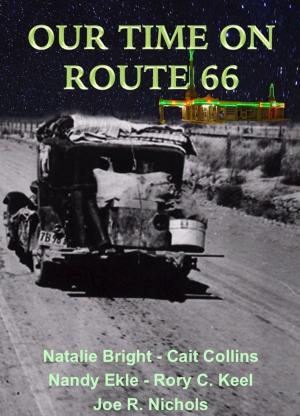 Cover of the book OUR TIME ON ROUTE 66 by Gino Narboni, Charlotte Narboni