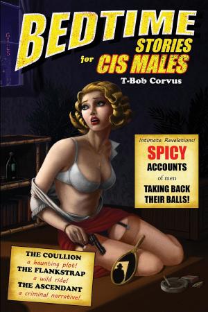 Cover of the book Bedtime Stories for CIS Males by Ed Rehkopf