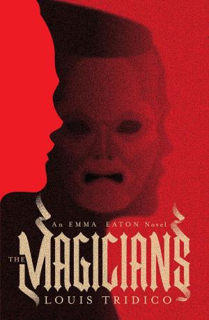 Cover of the book The Magicians by Teresa Schulz
