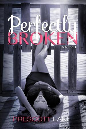 Cover of the book Perfectly Broken by Anne Marie Becker