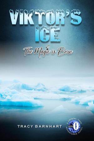 Cover of the book Viktor's Ice by Mary Tomasi Dubois