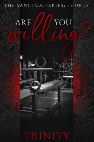Cover of the book Are You Willing? by Kyan Christopher