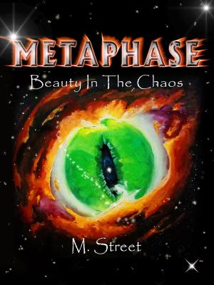 Cover of the book Metaphase by Sean Patrick Sayers