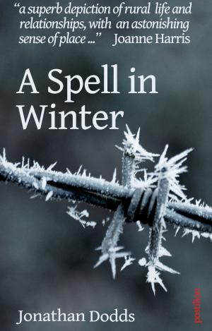 Book cover of A Spell in Winter
