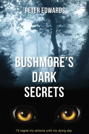 Cover of the book Bushmore's Dark Secrets by Richard Joseph Zazzi