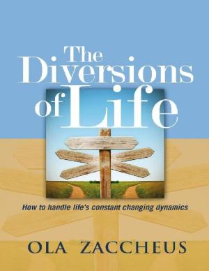 Cover of the book The Diversions of Life by Prophet J.K. Upthegroove
