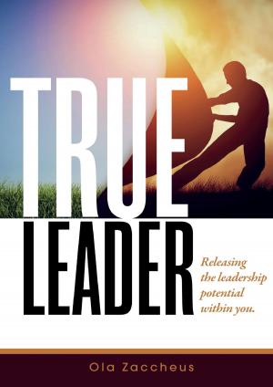 Cover of the book True Leader by Steven Gans