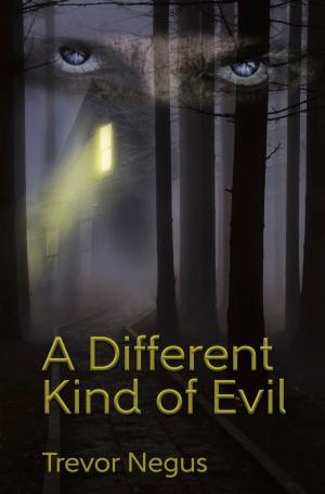 Cover of A Different Kind of Evil